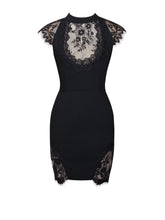Load image into Gallery viewer, QUINELLA BLACK LACE  CREPE BACKLESS MINI DRESS