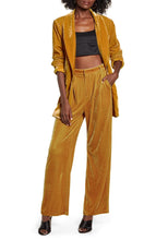 Load image into Gallery viewer, ENDLESS ROSE VELVET WIDE LEG PANTS